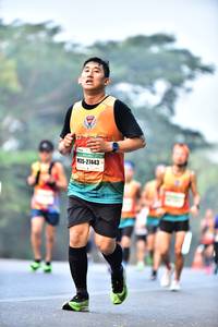 BIB: 27443
                            <button type="button" onclick="openModal(10128096)" class="btn btn-primary btn-sm float-right btn-popup" data-toggle="modal" data-target=".modal-high-quality">
                        <i class="fas fa-shopping-cart"></i> Add to Cart
                    </button>
                                            <button type="button" onclick="isThisMe(10128096, true)" class="btn btn-success btn-sm float-right btn-popup btn-isme hidden" data-toggle="tooltip" data-placement="bottom" title="นี่คือรูปของคุณใช่ไหม คลิกที่นี่เพื่อเอาเข้าอัลบั้ม">
                        <i class="fas fa-plus"></i> Add to album
                    </button>
                    <button type="button" onclick="isThisMe(10128096, false)" class="btn btn-warning btn-sm float-right btn-popup btn-isnotme hidden">
                        <i class="fas fa-ban"></i> Remove from album
                    </button>